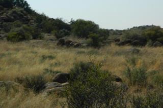  Bedroom Property for Sale in Fauresmith Rural Free State